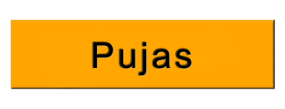 Pujas Button