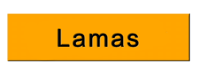 Lamas en